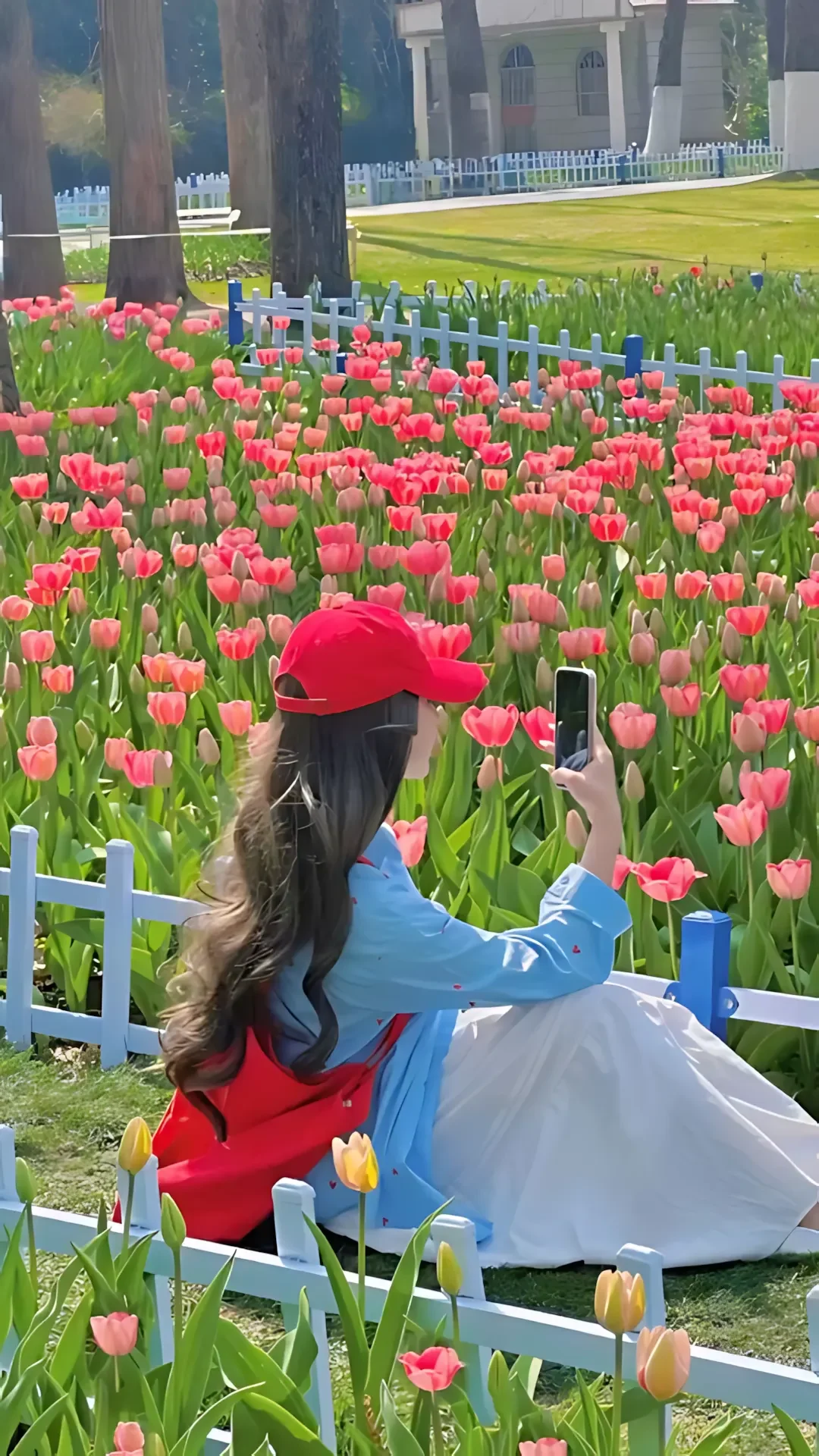 Hình Ảnh Gái Xinh Với Hoa Khiến Dân Mạng Ngẩn Ngơ Ngắm Mãi